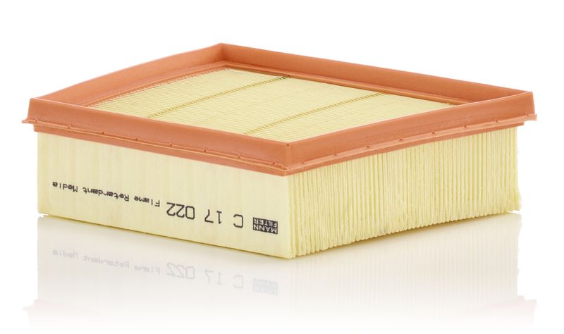 13717503141MF C 1882 Air Filter