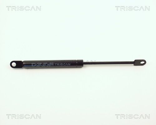 51231906286TS 8710 1101 Gas Spring, bonnet
