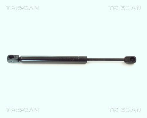 51241960862TS 8710 11201 Gas Spring, boot/cargo area