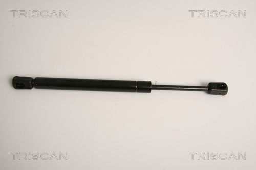 51248151579TS 8710 11211 Gas Spring, boot/cargo area