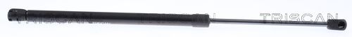 51247148902TS 8710 18244 Gas Spring, boot/cargo area