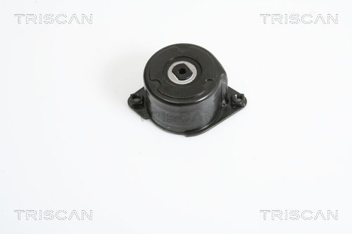 11287786880TS 8641 113022 Belt Tensioner, V-ribbed belt