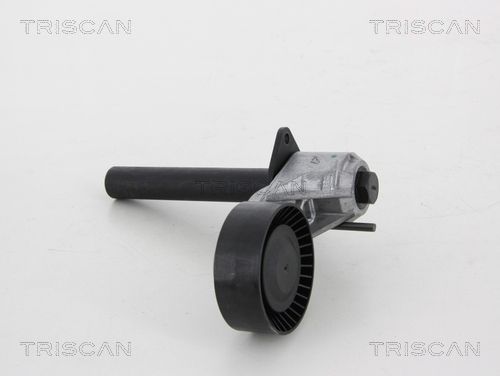 11287799851TS 8641 113039 Belt Tensioner, V-ribbed belt