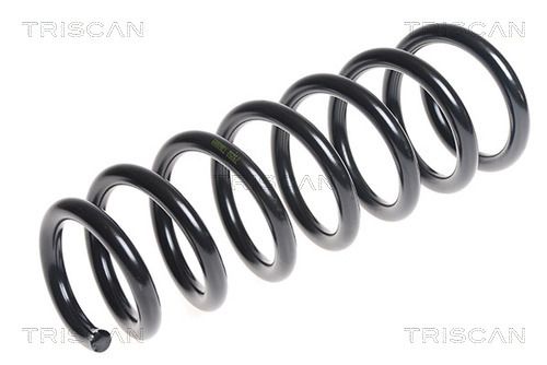 31336778112TS 8750 11135 Suspension Spring