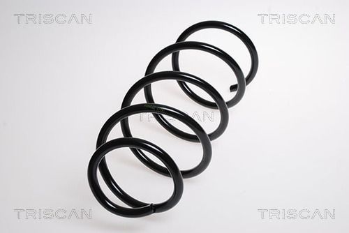 31336767369TS 8750 1183 Suspension Spring