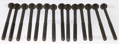 11128513130TS 98-1014 Cylinder Head Bolt Set