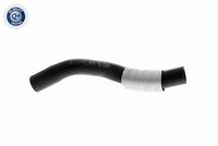 31356757146V 31356757146 31 35 6 757 146 6757146 V20-9713 MINI R52 -  Mounting, stabiliser bar