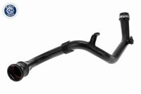 11311726480V1 11311726480 11 31 1 726 480 1726480 V20-3150 BMW Z4 (E85) -  Guide, timing chain