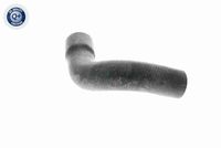 51241960862V 51241960862 51 24 1 960 862 1960862 V20-2012 BMW E36 -  Gas Spring, boot/cargo area