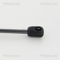 51237206644TS 51237206644 51 23 7 206 644 7206644 8710 11132 BMW F11 -  Gas Spring, bonnet