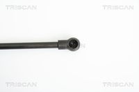 51247250308TS 51247250308 51 24 7 250 308 7250308 8710 11227 BMW E90 -  Gas Spring, boot/cargo area