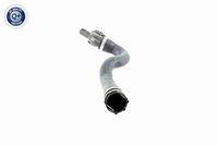 17127531769V 17127531769 17 12 7 531 769 7531769 V20-1296 BMW E88 -  Radiator Hose