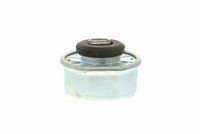 51248230070V1 51248230070 51 24 8 230 070 8230070 V20-1008  Gas Spring, boot/cargo area