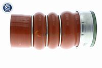 11617796303V 11617796303 11 61 7 796 303 7796303 V20-2718 BMW E91 -  Charge Air Hose