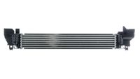 17517617597MO 17517617597 17 51 7 617 597 7617597 CI 614 000P MINI F54 -  Charge Air Cooler